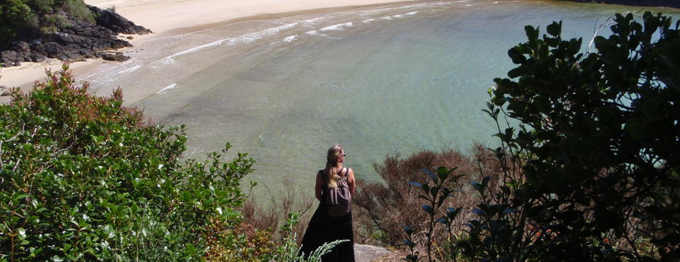 Explore the beaches