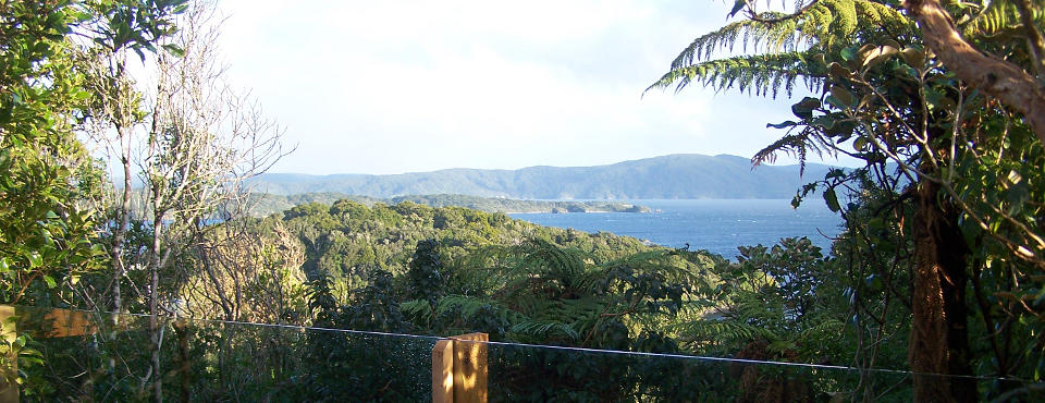 view to Ulva Island from Room 2 