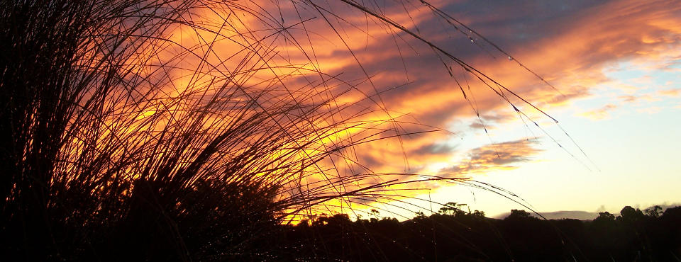 Glowing skies