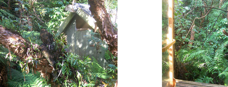 Bush sauna hut and outlook from the sauna