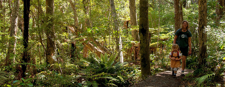 Tramping options for all ages